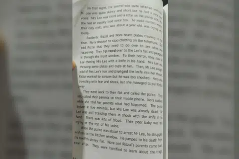 Netizens protest P5/6 model composition published in 2008