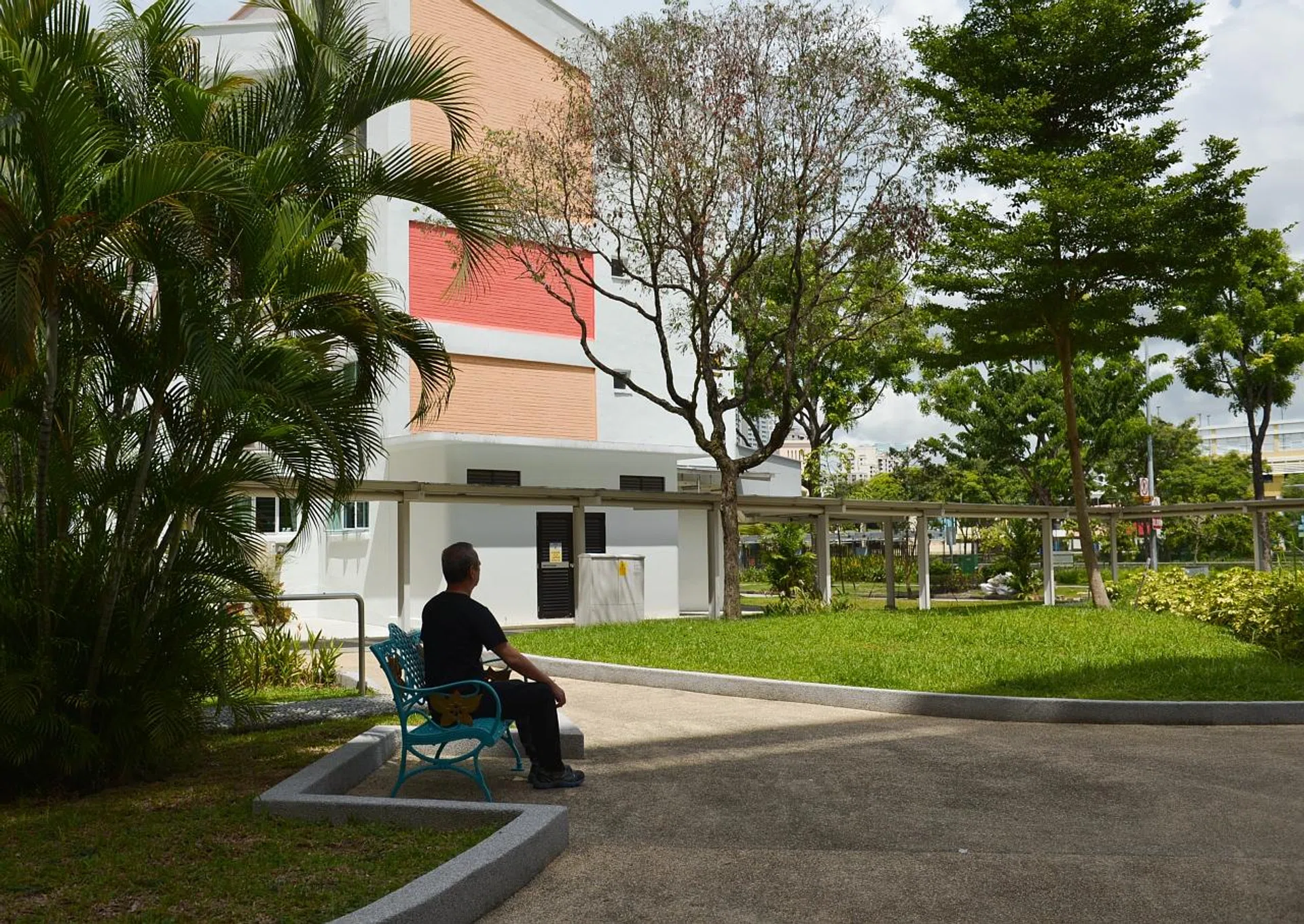 Steven said a four-pronged approach is needed to deal with mental illness - medication, coping strategies, social support and a healthy lifestyle. 