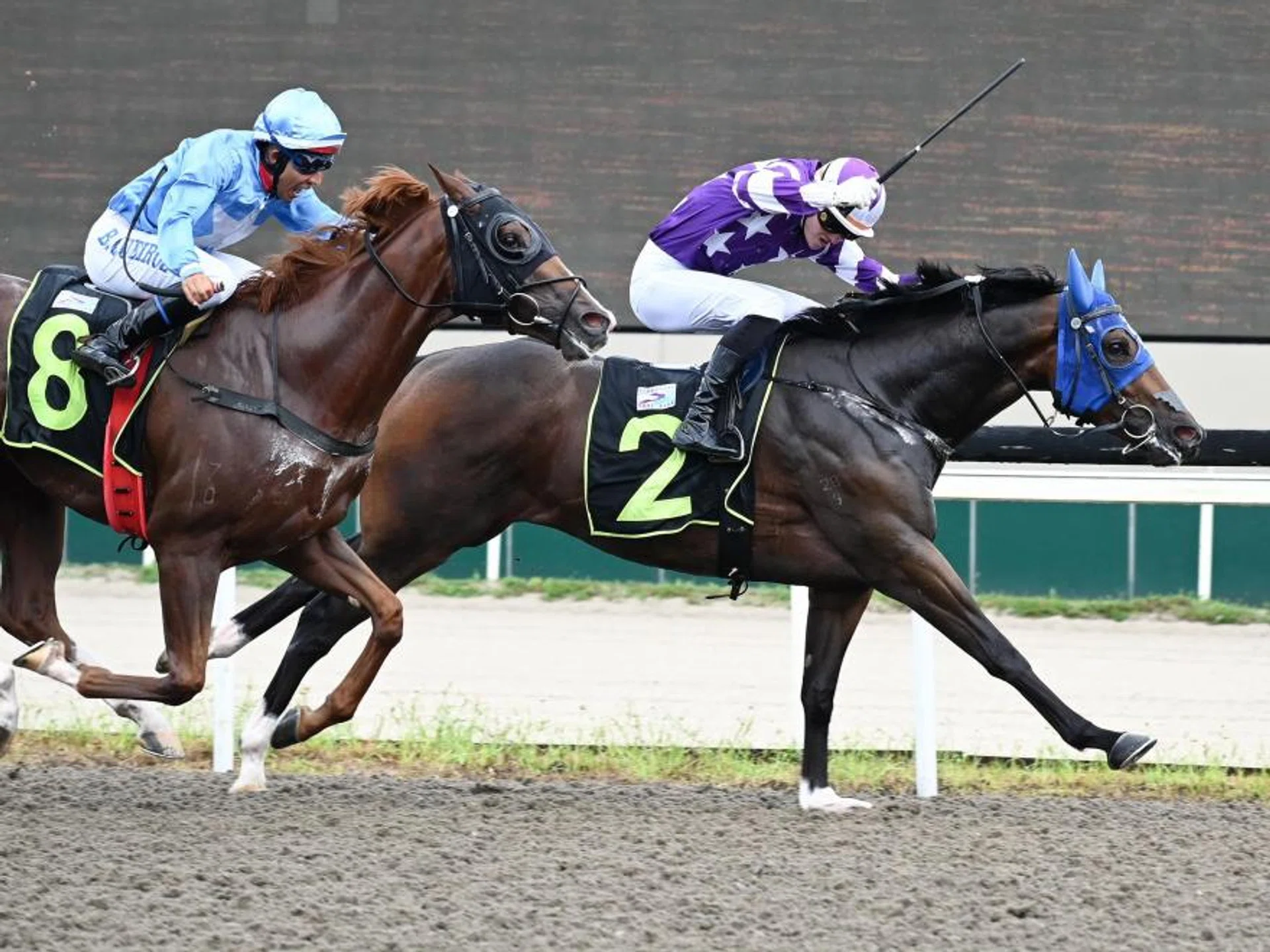 The Donna Logan-trained Otahuhu (Jaden Lloyd) staving off July (Bruno Queiroz) by a neck in the Open Maiden race (1,200m) on March 2.