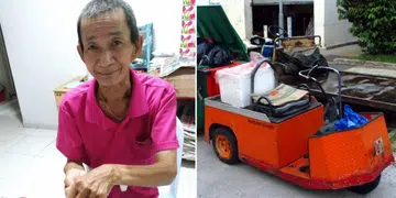 Man, 75, dies in hospital after allegedly being knocked down by garbage cart