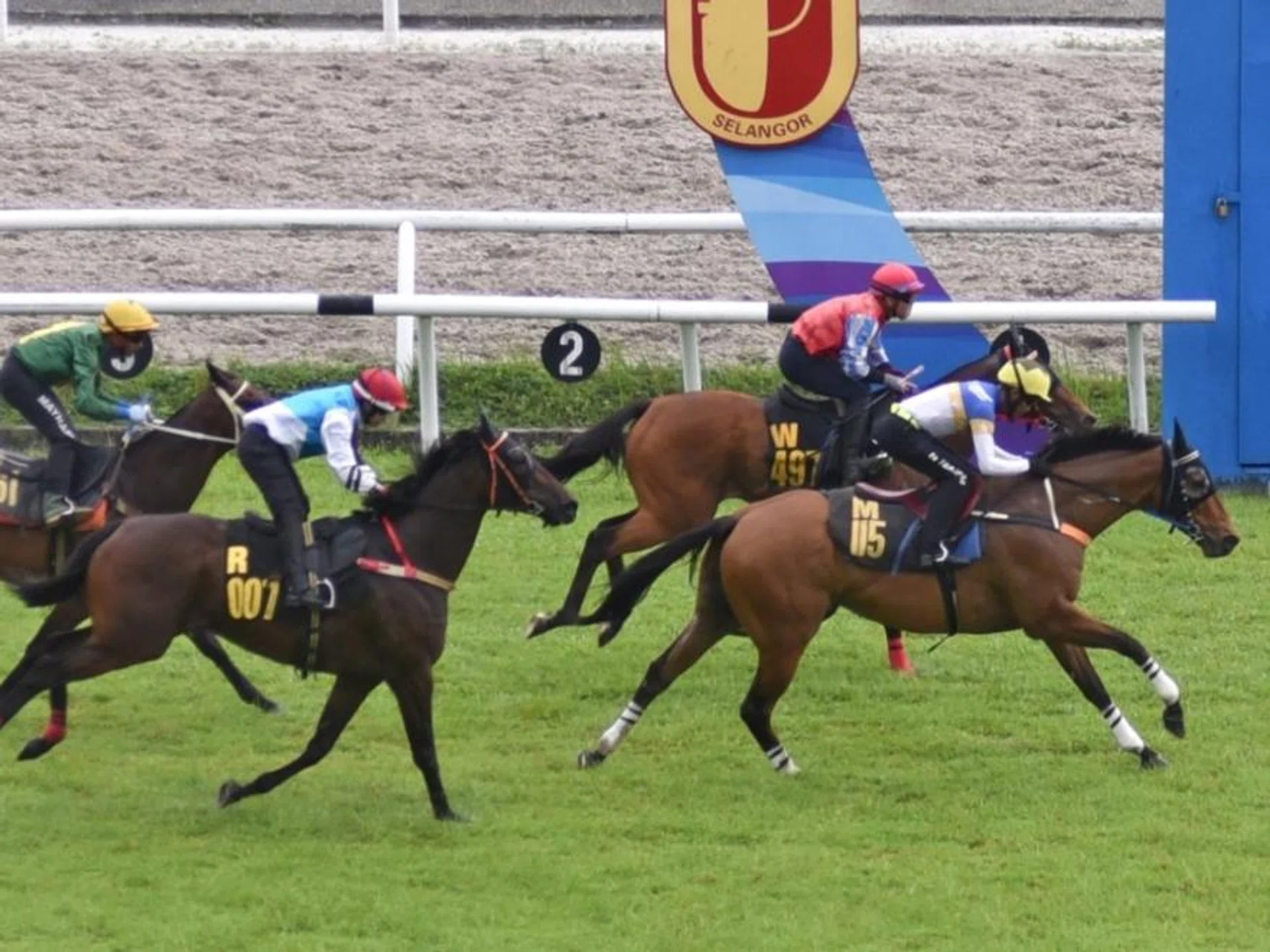 Shimi Go (Haikal Hanif) finishing the best in the first of four barrier trials at Sungai Besi on Oct 15, beating Darc Bounty (Khaw Choon Kit) by a neck

