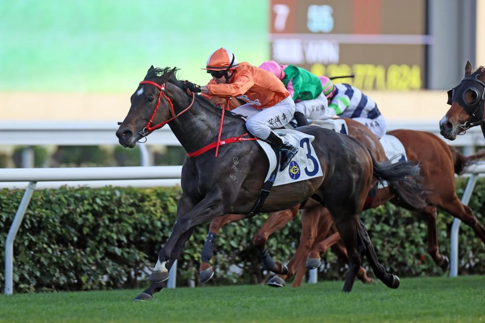 Howdeepisyourlove at one of his five Hong Kong wins. The bid for win No. 6 will come in the Group 2 Premier Bowl (1,200m) at Sha Tin on Oct 20.