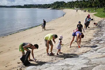 Hidden rubbish made beach look clean