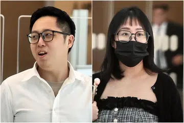 3 weeks' jail each for married couple who smuggled dogs from Malaysia