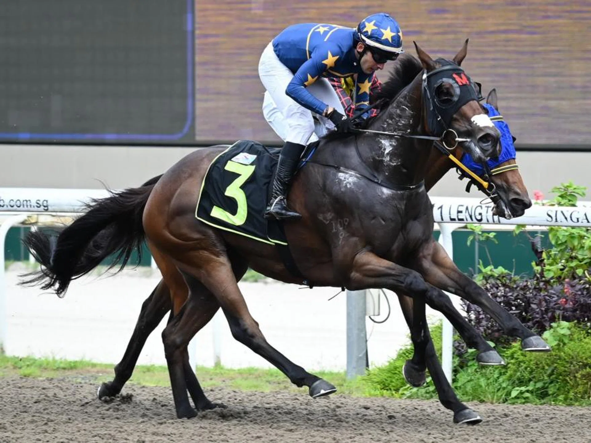 Marc Lerner steering Lim's Saramati to the line while staving off Behind Player (Bruno Queiroz, obscured) on their inside in the Maiden race (1,200m) on Jan 14. Trainer Daniel Meagher watched the race from Australia.
