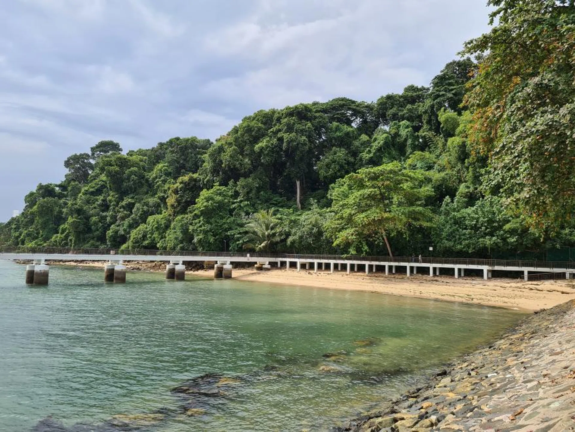 The restoration  will include the  planting of 5,000  native trees  suited to the  coastal forest  environment.  