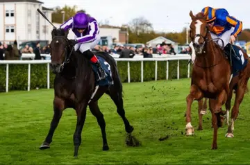 Hawk Mountain leads O'Brien 1-2-3 in Futurity