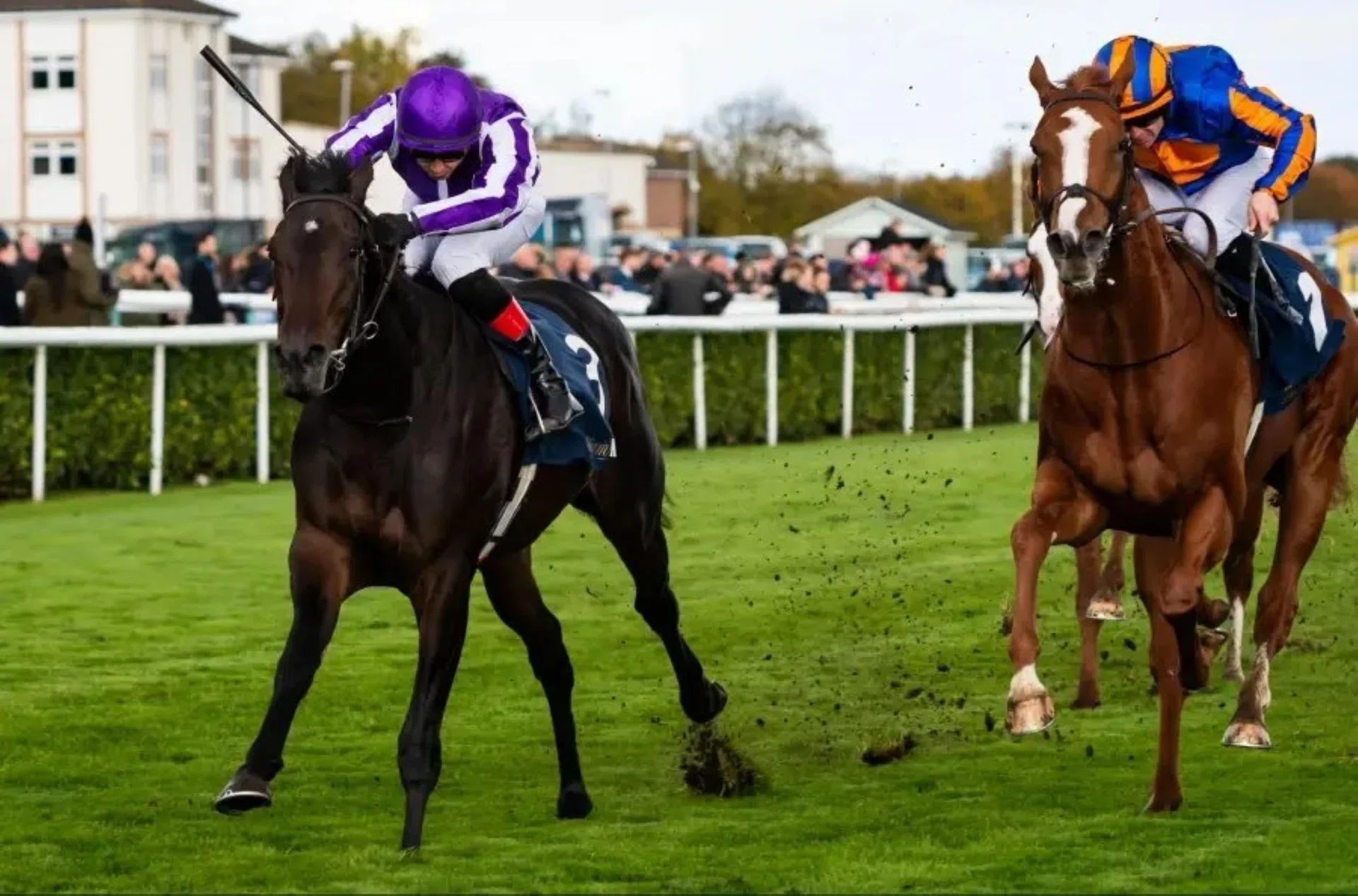 Hawk Mountain (Ronan Whelan, left) dominating stablemate Action (Wayne Lordan) to claim the Group 1 Futurity Trophy Stakes (1,600m) at Doncaster on Oct 25.