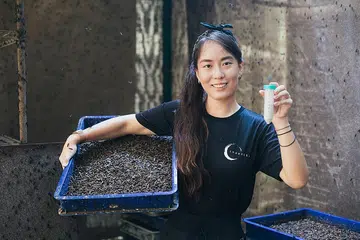 Her dream to help environment takes off with insect farm