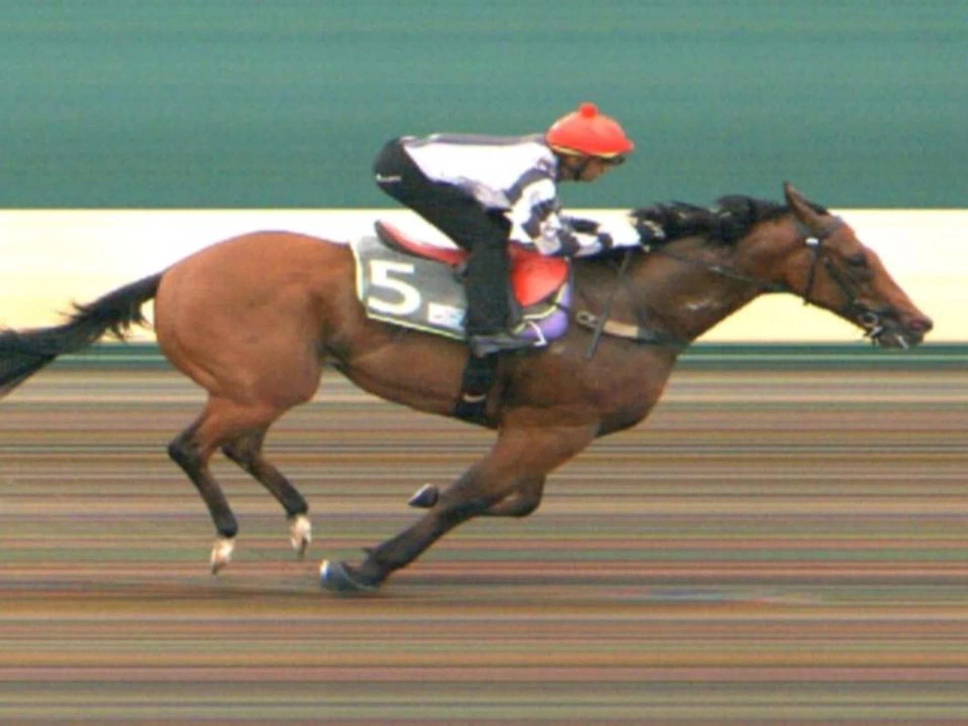 Pacific Vampire (Bruno Queiroz) scoring another dominant all-the-way barrier trial win at Kranji on Sept 12.
