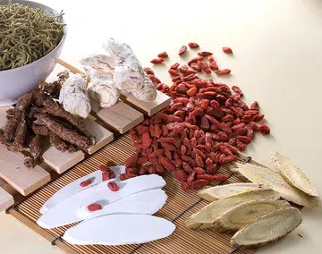 Promote digestive health during festive season with TCM