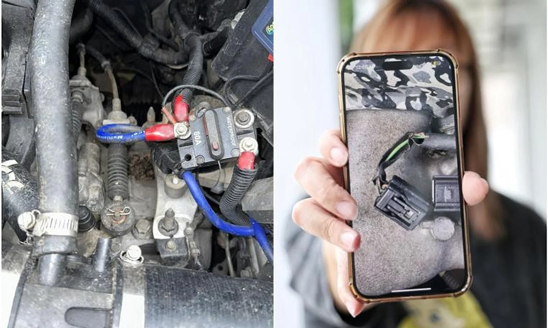 Ms Quek discovered that some of the wiring in her car engine had been chewed through.