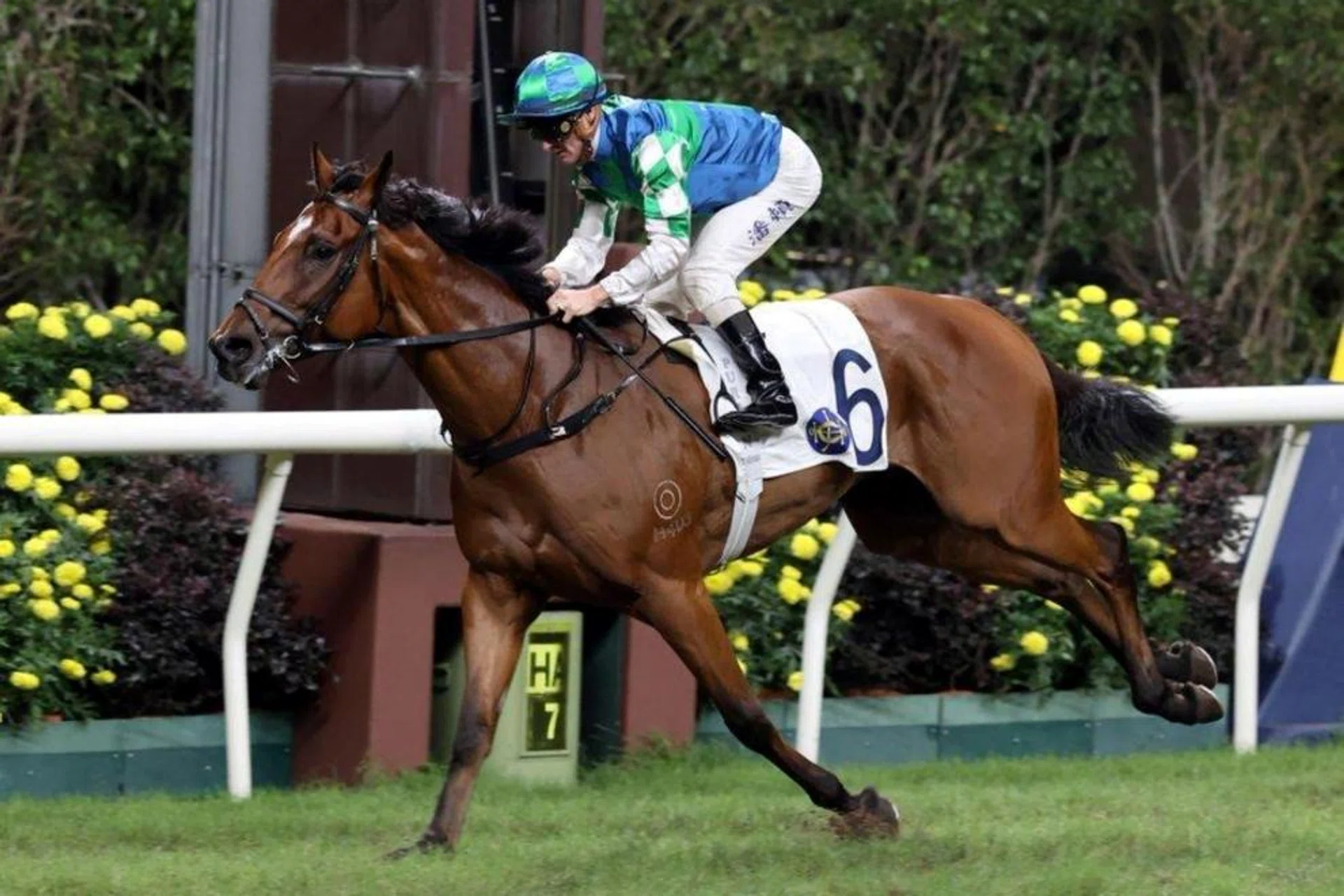 Copartner Prance and Zac Purton will be aiming to make it four on the trot at Happy Valley on May 15.