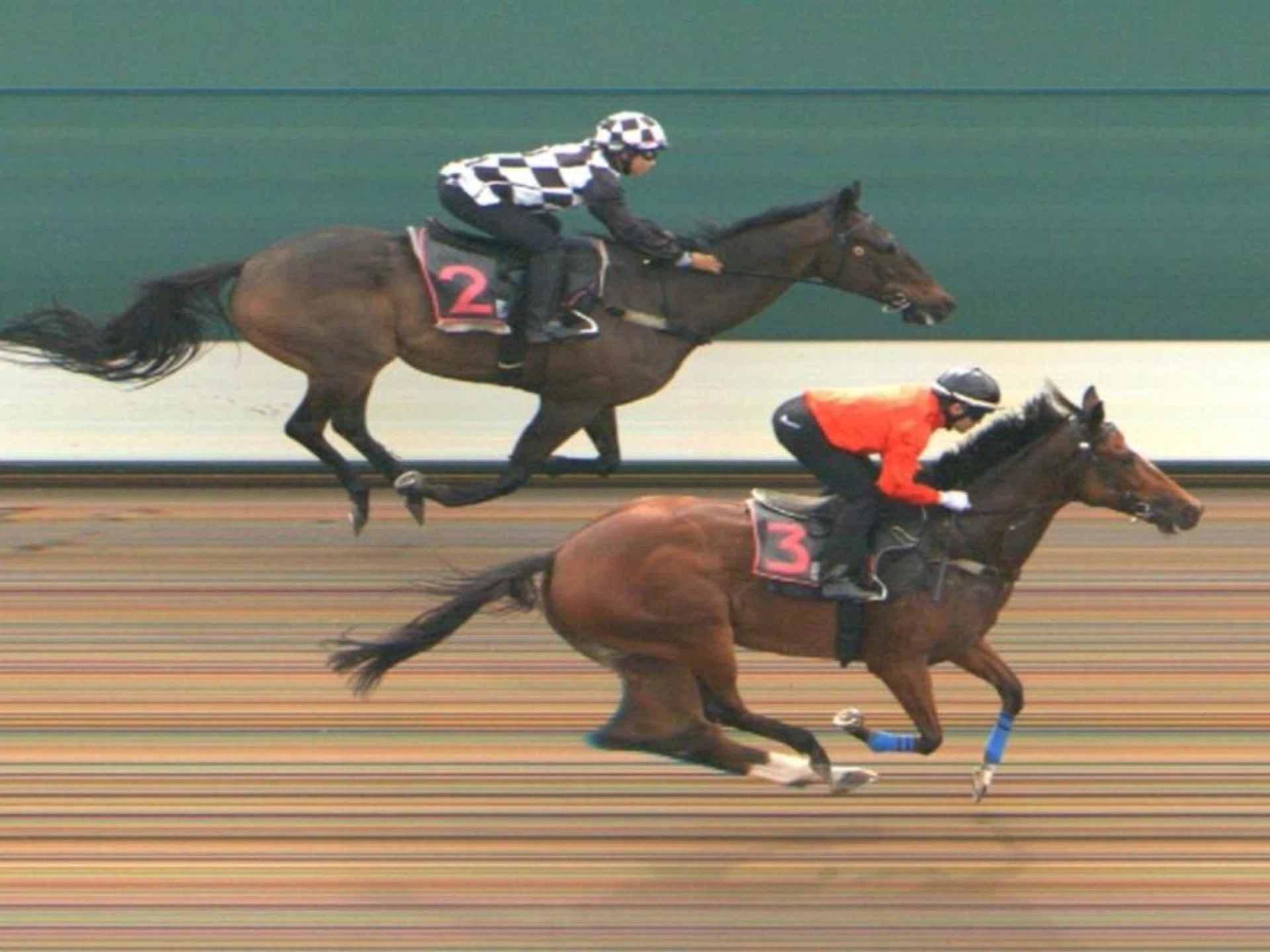 Street Of Dreams (Manoel Nunes) getting up under his own steam on the outside to beat Fame Star (Jerlyn Seow) in Trial 2 at Kranji on Jan 11.
