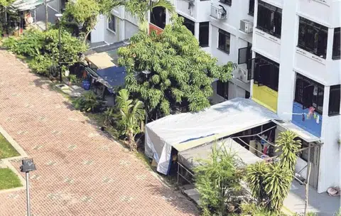Ground-floor residents put up awnings as shield from litter