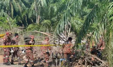 Bodies of 2 M'sians recovered from S'pore-owned light plane crash