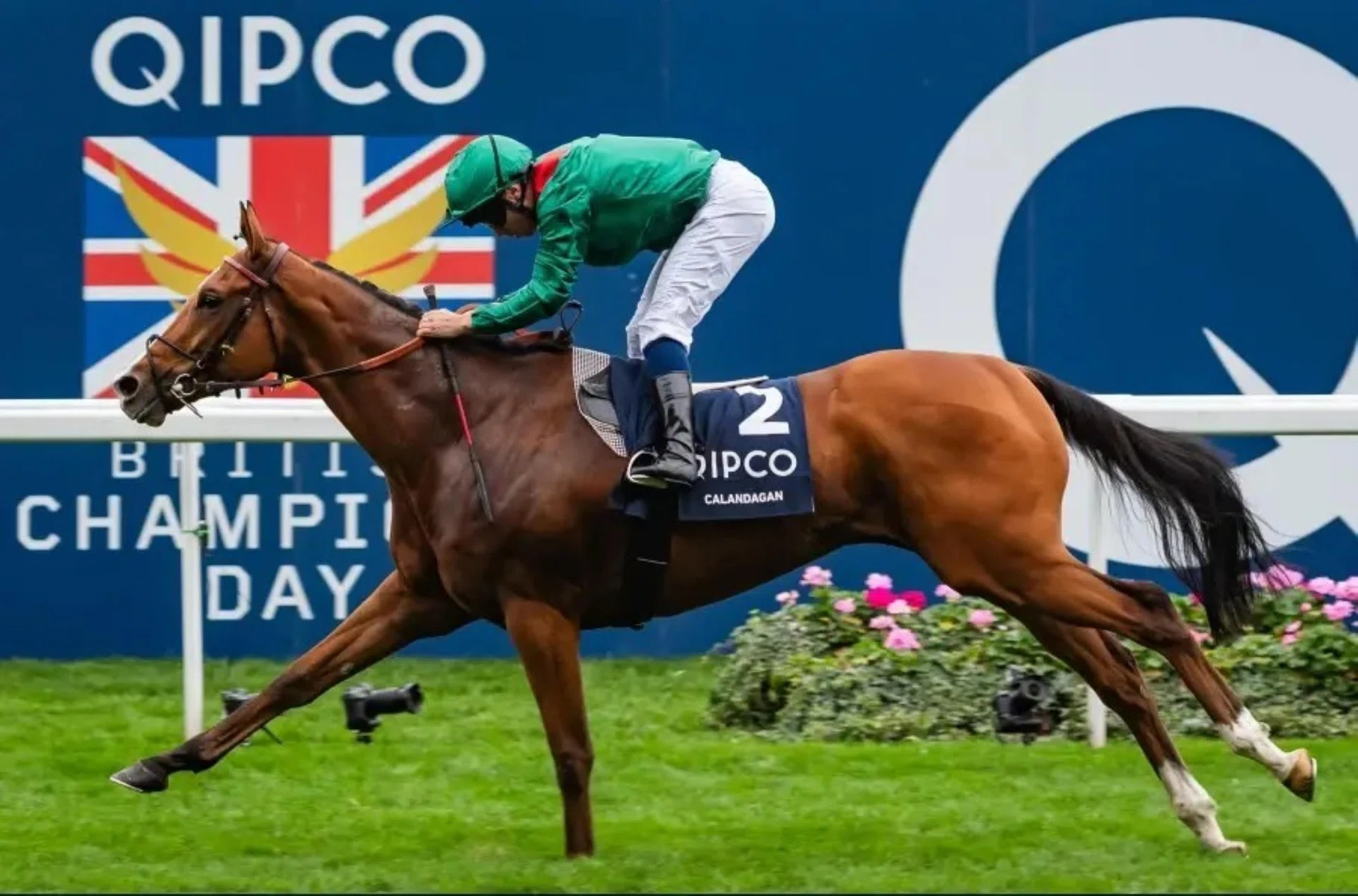 Calandagan (Mickael Barzalona) franking the rich vein of form of the Aga Khan-Francis-Henri Graffard combination with another stellar win at the elite level, this time coming in the Group 1 Qipco Champion Stakes (2,000m) at Ascot on Oct 18.