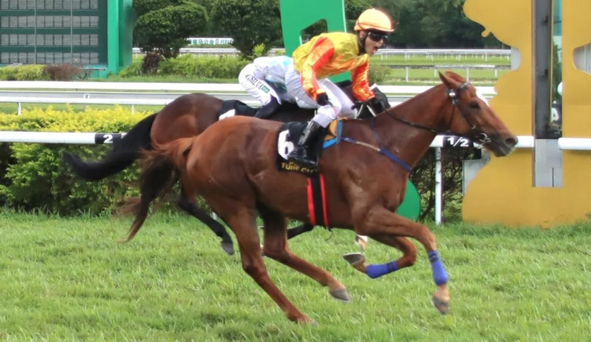 The Wayne Lim-trained Mega Gems (Lim Aun Kean) springing an upset in the Group 1 Kawan ESG Coronation Cup (1,600m) in Ipoh on Nov 3.
