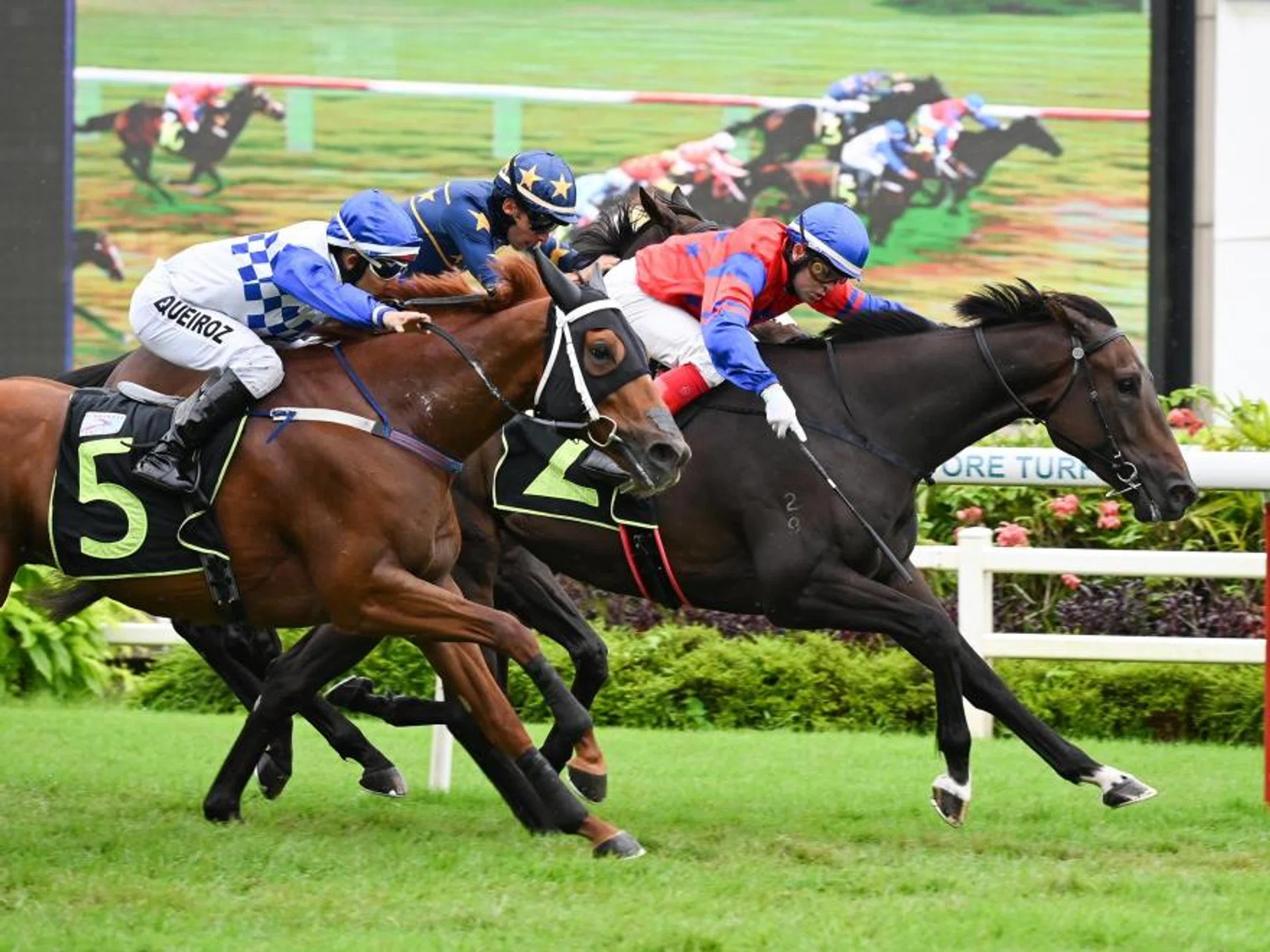 Eltite Jubilation (No. 5) charging home to finish a neck second to Black Storm over 1,600m on Jan 20. The additional 200m on Jan 27 will suit him to a tee.