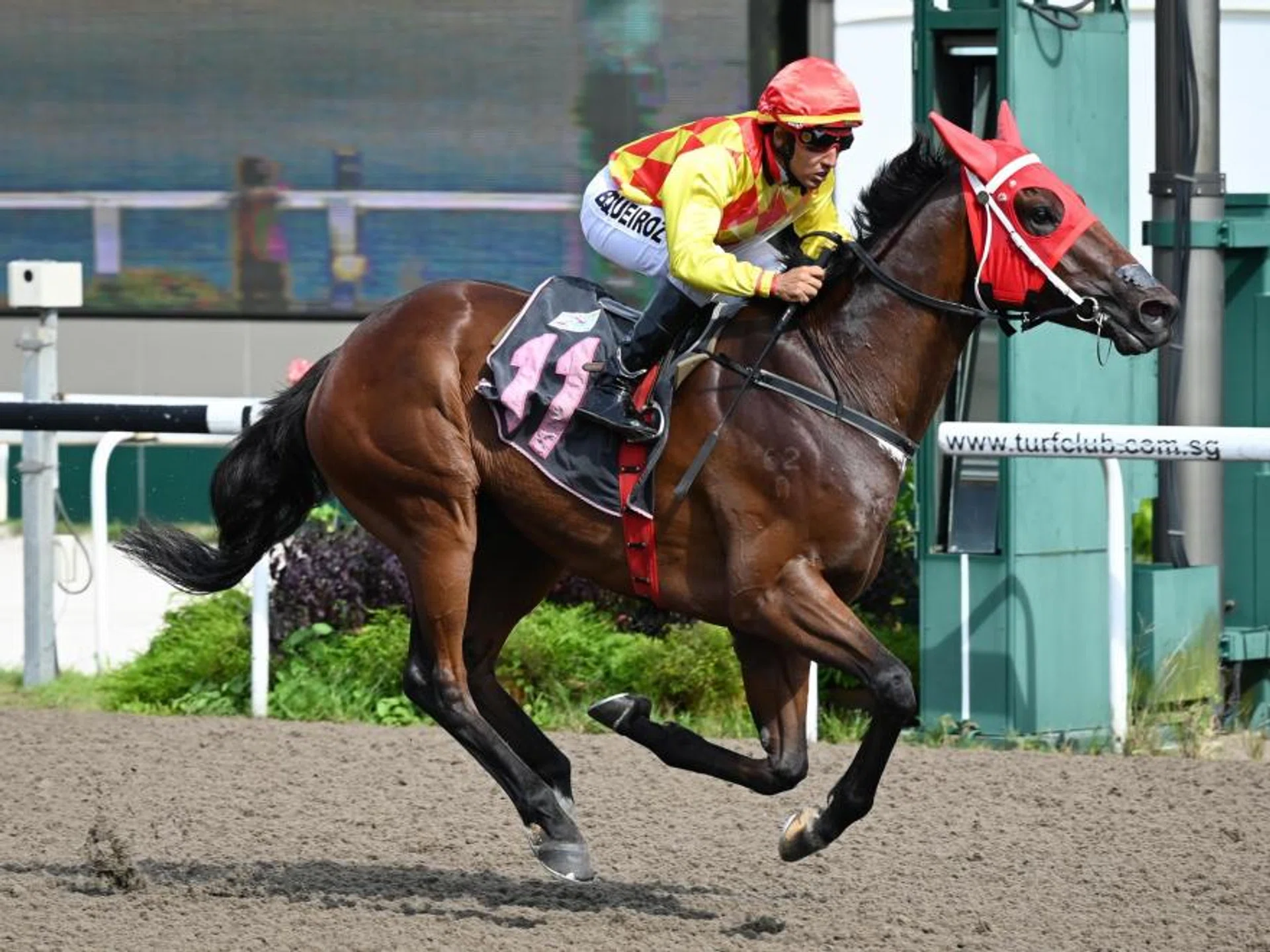 The smart Strike Gold.
