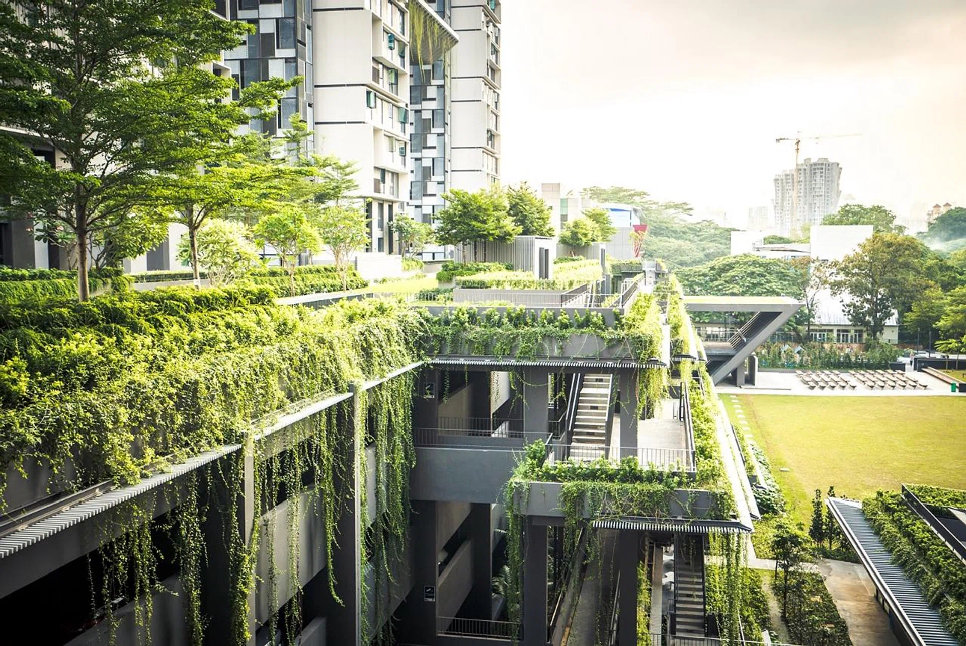 Greenery integrated into SkyTerrace@Dawson - one of the four housing projects to have extensive tree cover.