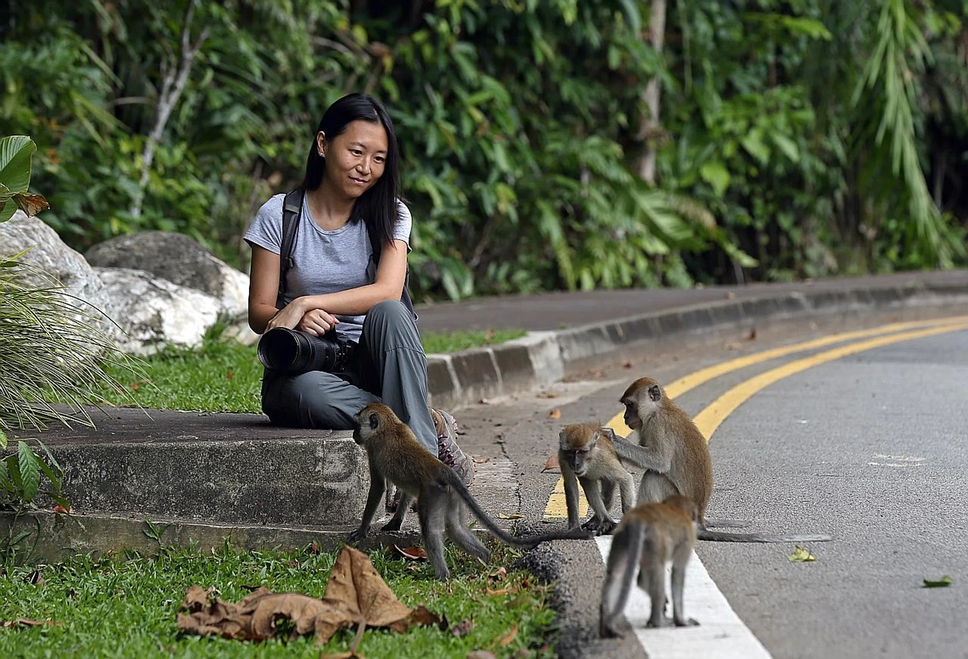 Feeding monkeys can lead to unnatural population growth for the primates, says primatologist Andie Ang. 