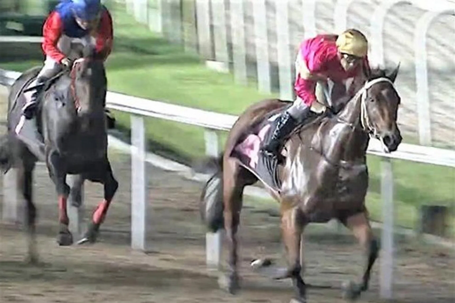Newcomer Sweet Angeline winning the last race at Kranji on April 3, after which racing was suspended to stem the spike in local coronavirus cases. 