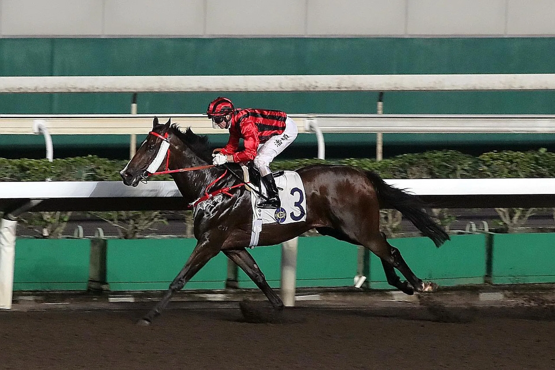 The Frankie Lor-trained Kings Shield giving reigning champion jockey Zac Purton the middle leg of his treble at Sha Tin on Wednesday night. 