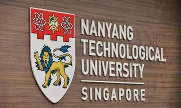 NTU investigating senior professor accused of plagiarising former student's work