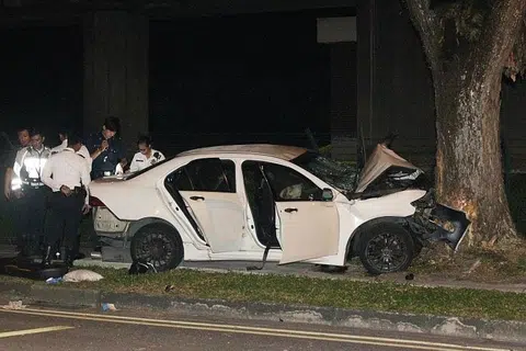 Woman killed, two kids injured when car slams into tree