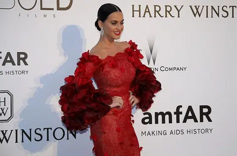 Katy Perry sets Twitter record