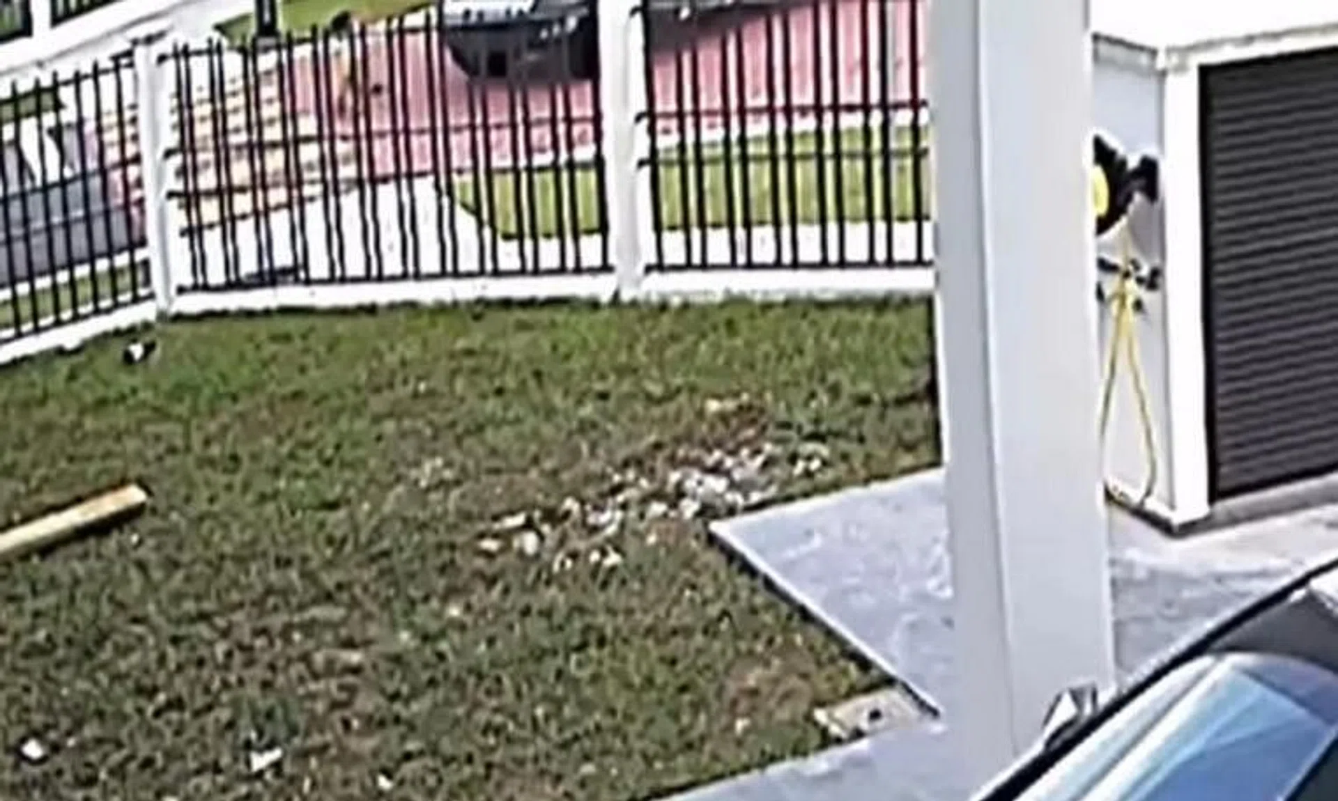 The boy could be seen riding a kick scooter and stopping at an intersection before getting hit by a black pickup truck.