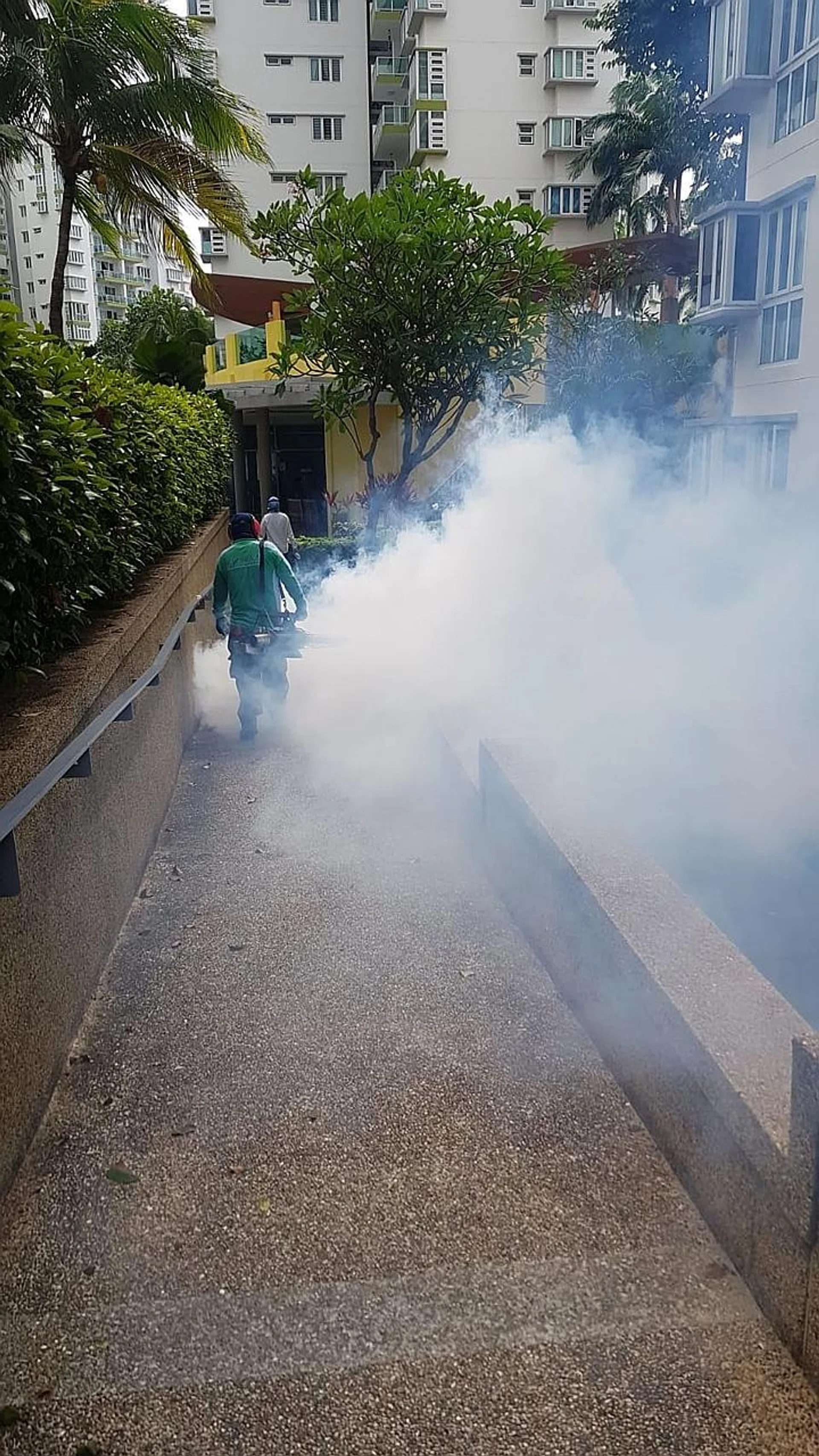 In August, NEA also provided free thermal fogging of The Warren condo. 