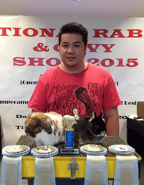 These bunnies cost a bundle