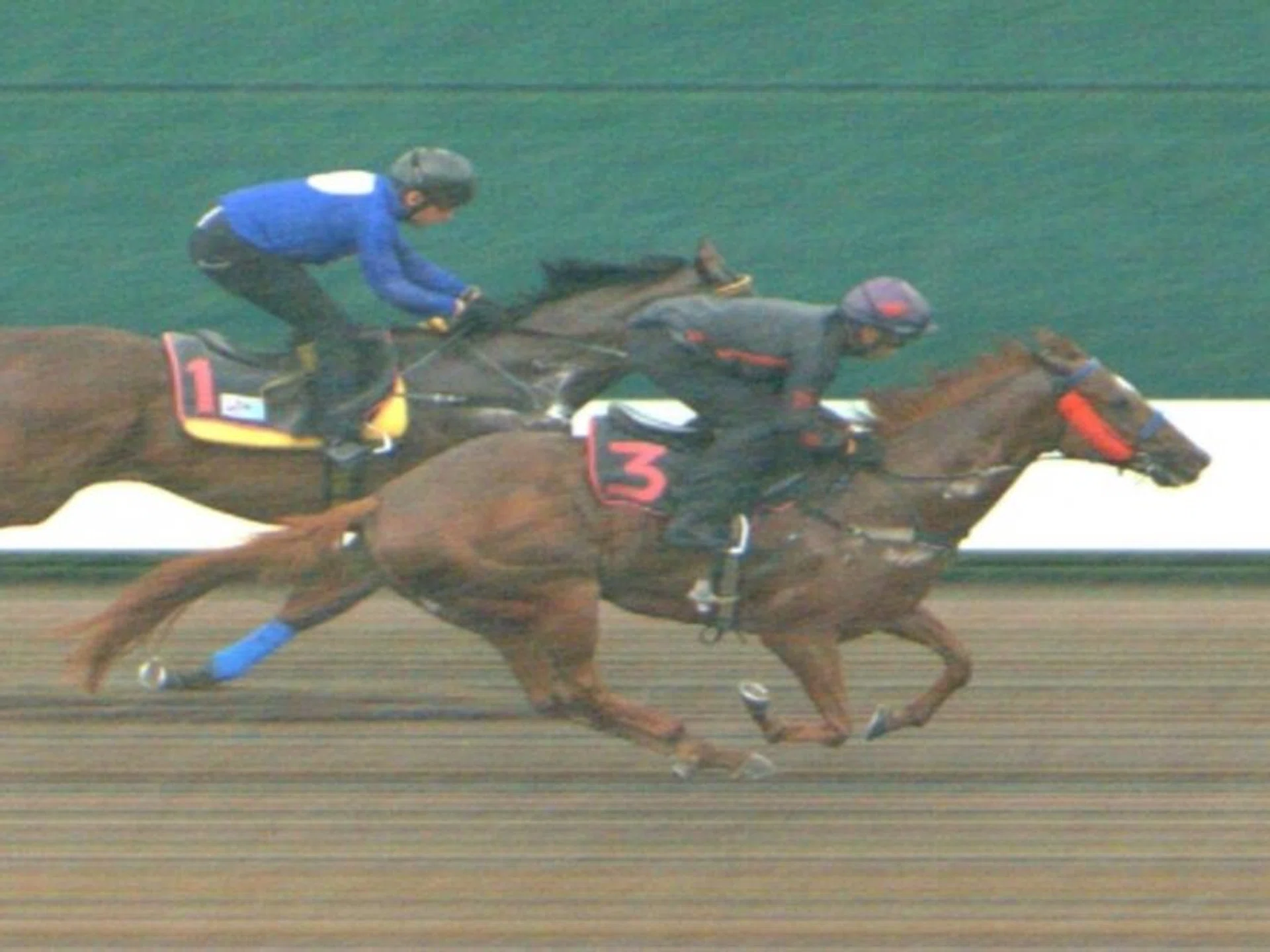 The Stephen Gray-trained October (Matthew Kellady) finishing a touch better than Con Speranza (Marc Lerner) in a barrier trial on Jan 16.
