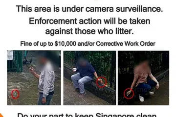 Posters of repeat litterbugs put up in Chinatown