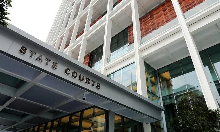 NS dodger lies to police after knife attack