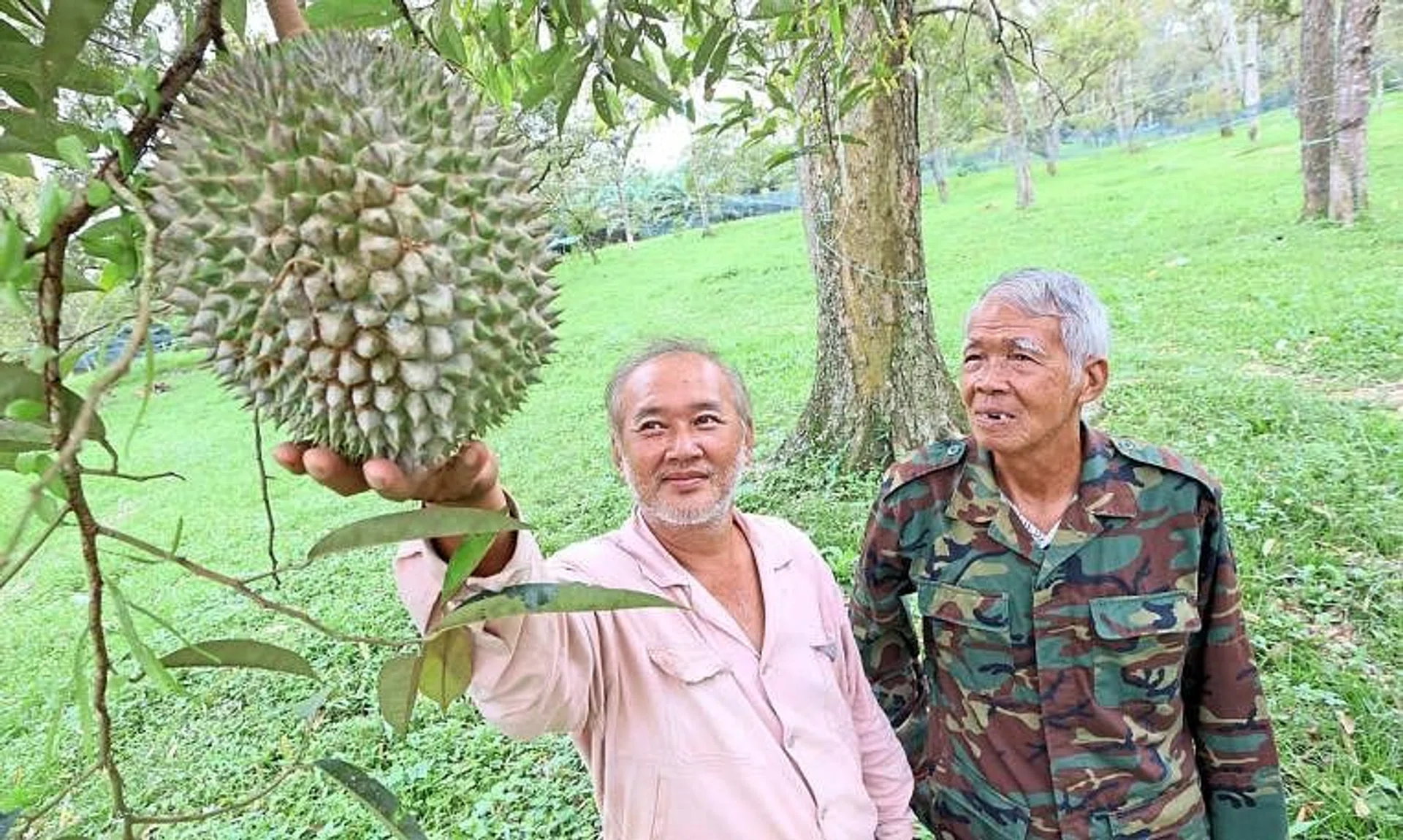 Johor farmers said their harvests and income have become as unpredictable as the weather.