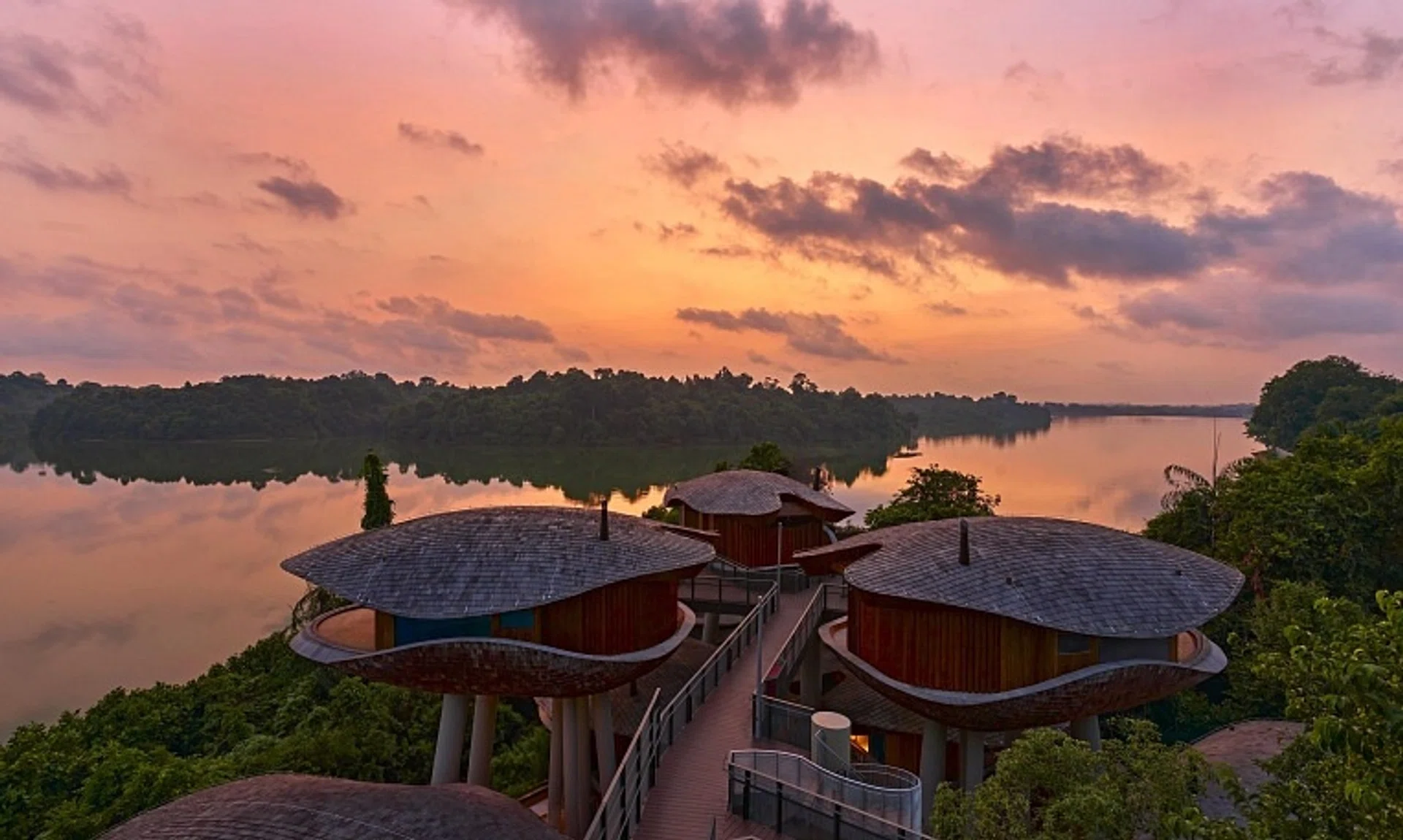 Designed to resemble the seed pods of the Purple Millettia, these treehouses overlook Upper Seletar Reservoir.
