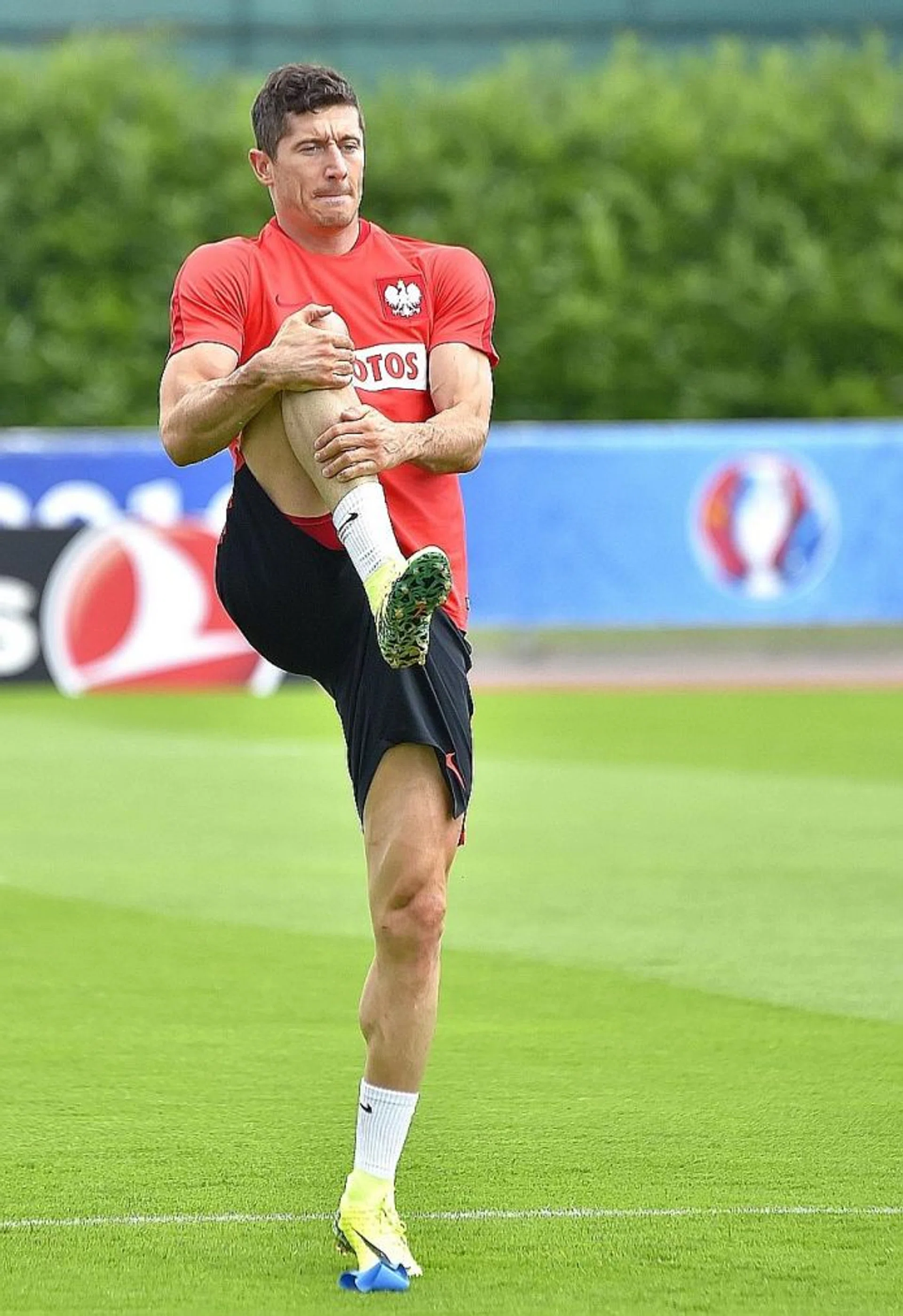 We know Poland have great players, like Lewandowski. But we have to focus on the team, not just one player. - Luis Nani on Robert Lewandowski (above)