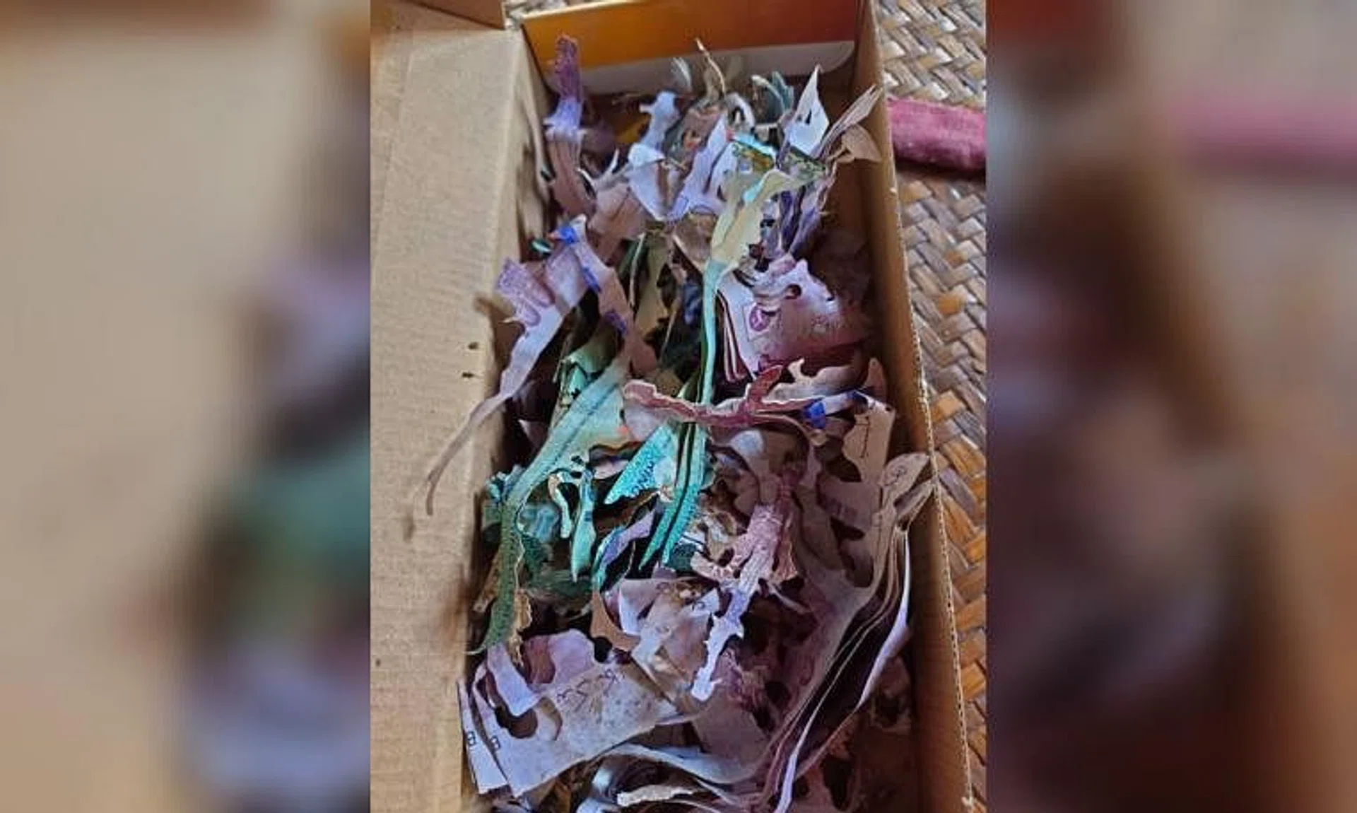 The woman had stashed RM30,000 (S$8,700) in a cardboard box, only for the notes to be shredded by termites.