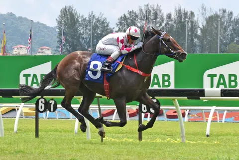 Forever Sixty-One set to double the dose under Lim