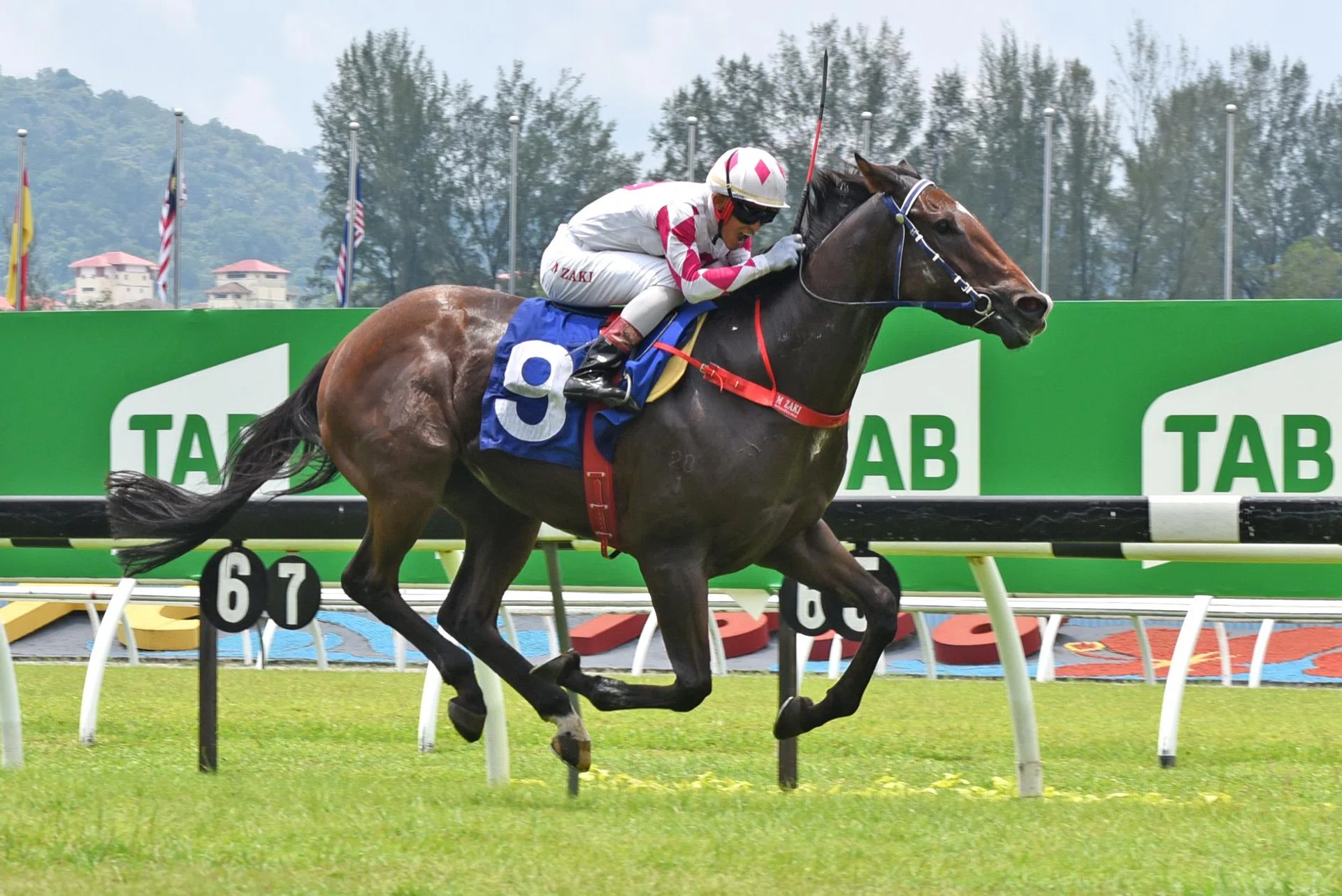 Forever Sixty-One (Mohd Zaki) making all in the Novice race (1,200m) on debut on April 27. He will be at his first start for trainer Jason Lim in the Novice event (1,275m) at Sungai Besi on Oct 12.