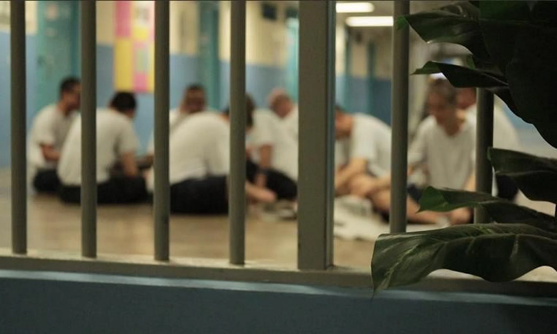 The new law is limited to those who commit serious violent offences or serious sexual offences.