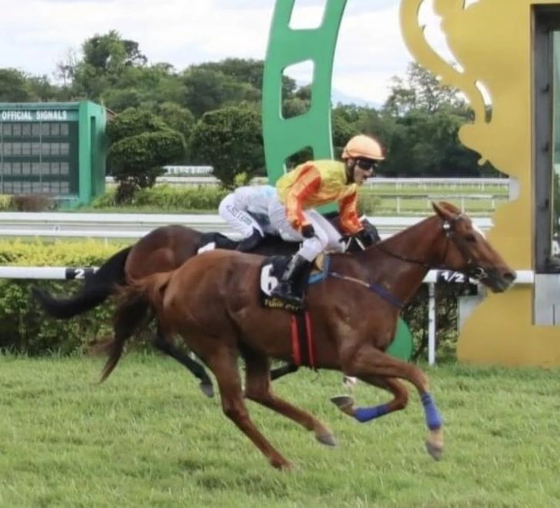 The Wayne Lim-trained Mega Gems (Lim Aun Kean) winning the Group 1 Kawan ESG Coronation Cup in Ipoh on Nov 3.