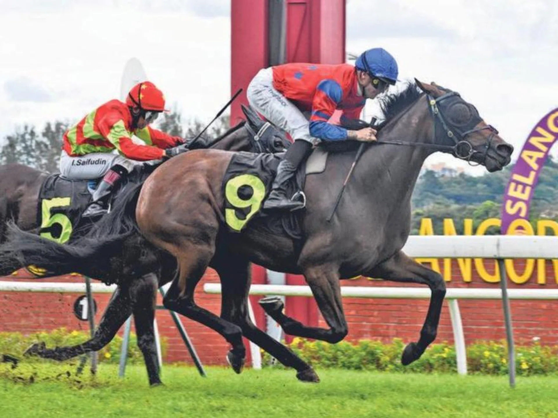 Visiting Australian jockey Blaike McDougall making no mistake at his very first Malaysian ride on Jan 26 when he brought Lightning Gal with a well-timed run to win the Open Maiden (1,100m) at Sungai Besi.