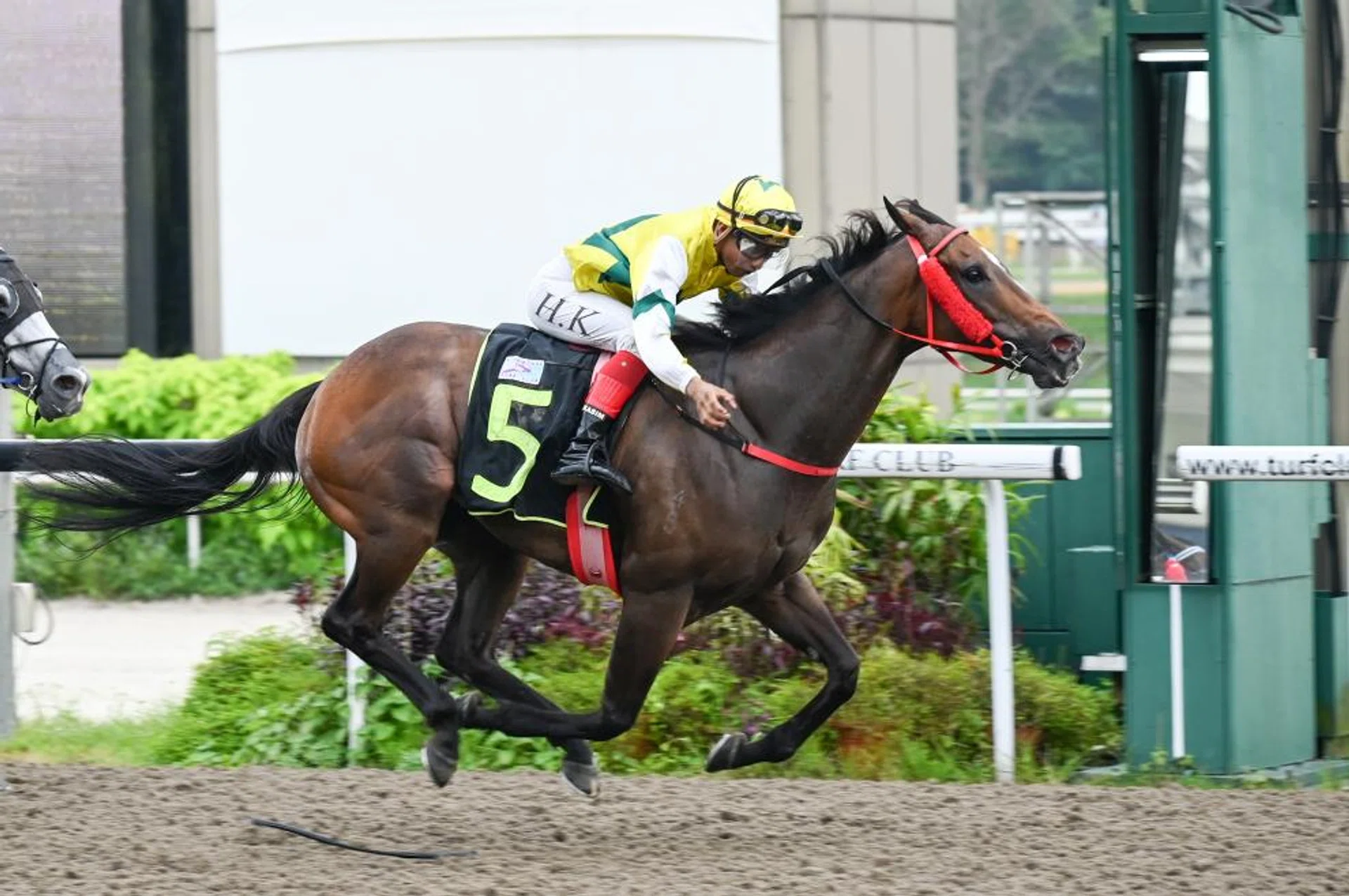 The August responding to jockey A'Isisuhairi Kasim's urgings to claim the Class 2 race (1,000m) on Feb 3. His stablemate Sacred Gift (Iskandar Rosman) finishes second for a Jerome Tan quinella. The pair are entered for the traditional Chinese New Year feature, the Group 3 Fortune Bowl (1,400m) on Feb 11.
