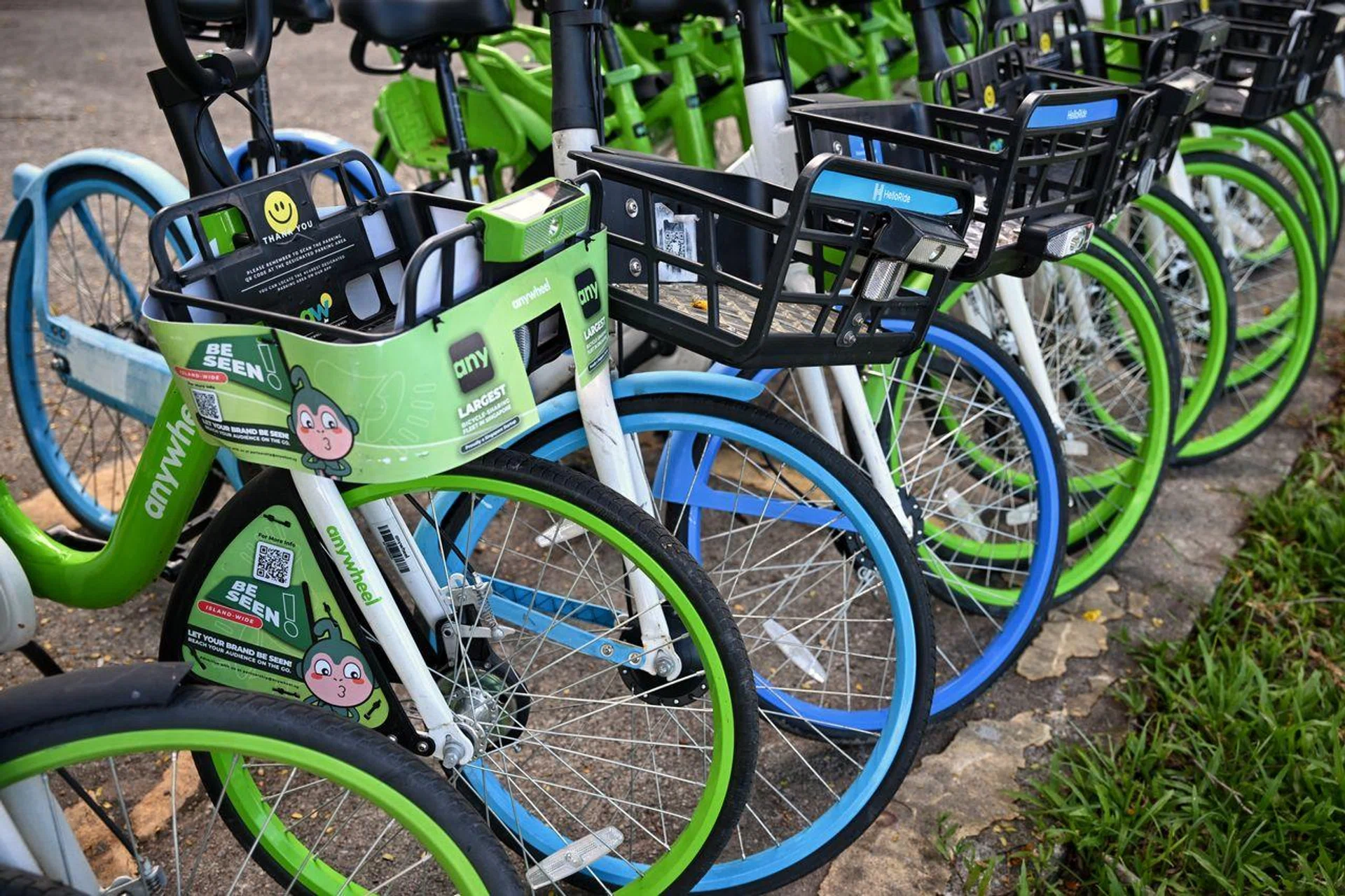 The writer says without emotional involvement, shared services will continue to remain vulnerable to neglect and misuse. 