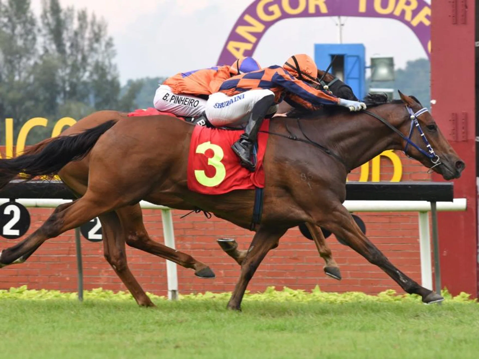 Bold Runner (Ruzaini Supien) winning his debut race on Sept 22. He looks ready for another victory, judging by his workout at Kuala Lumpur on Dec 17.
