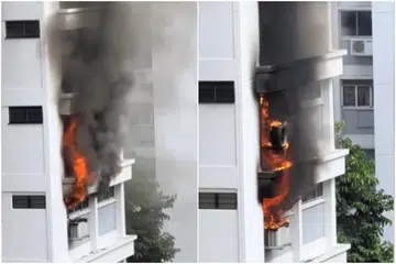 40 evacuated from Bishan HDB block in fire reportedly caused by mosquito coil